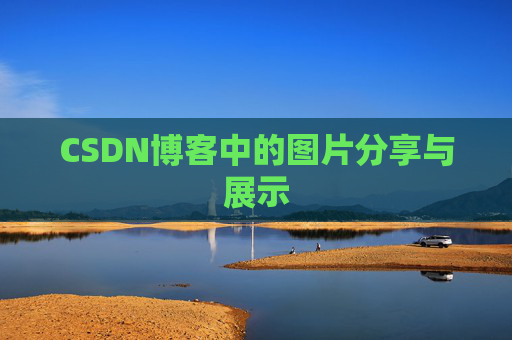 CSDN博客中的图片分享与展示